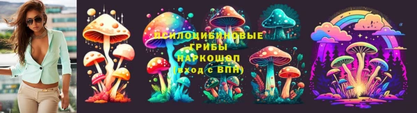 2c-b Балахна