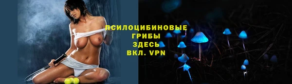 2c-b Балахна