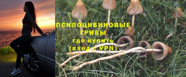 2c-b Балахна