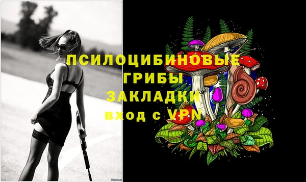 2c-b Балахна